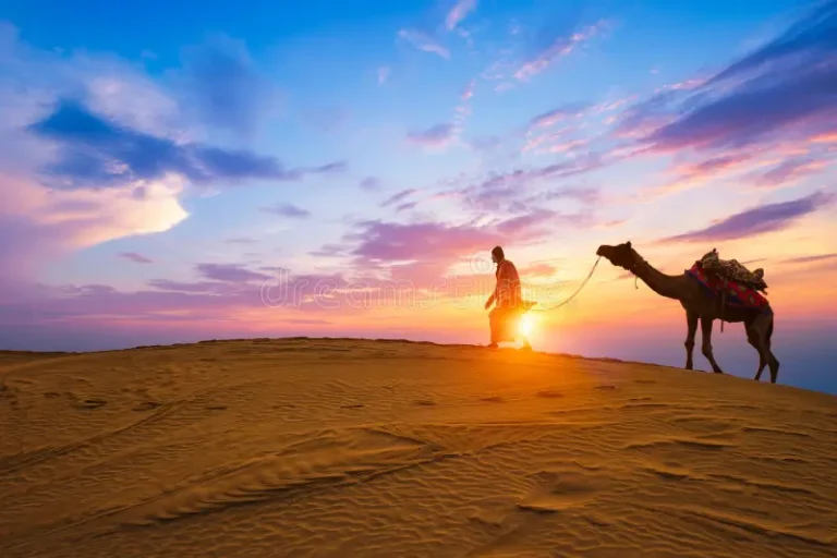 Sunset Camel Safari